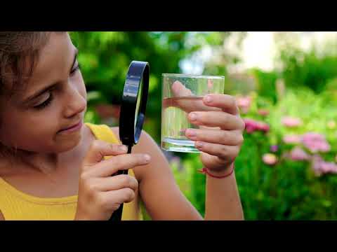 Glass, the hidden gem of a carbon-neutral future